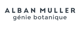 M&A Corporate ALBAN MULLER mardi 2 mars 2021 M&A Corporate ALBAN MULLER mardi 2 mars 2021