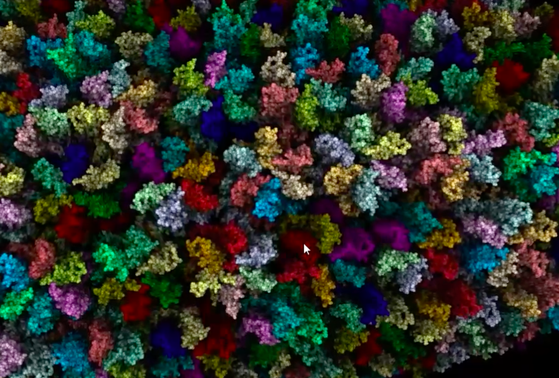 © Qubit Pharmaceuticals