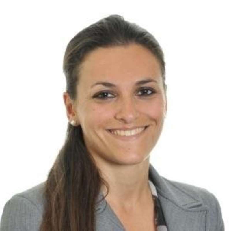 Francesca Paludetti, Groupe Sapio