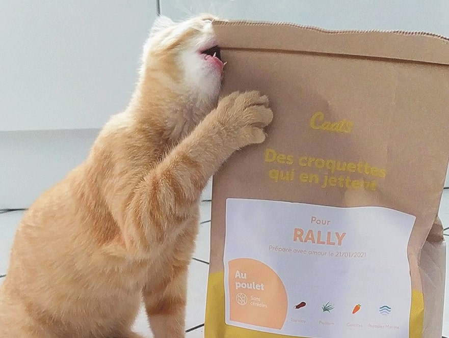 © Caats