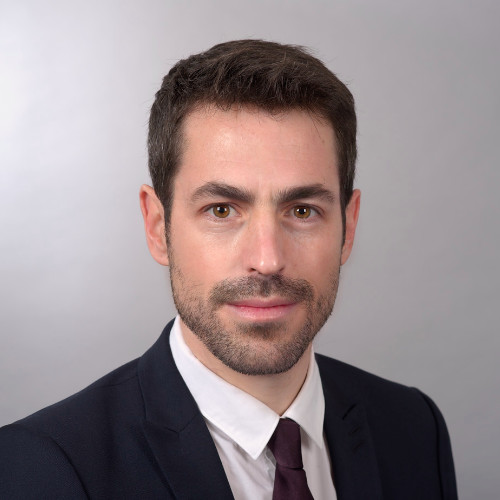 Damien Guillard, Synercom