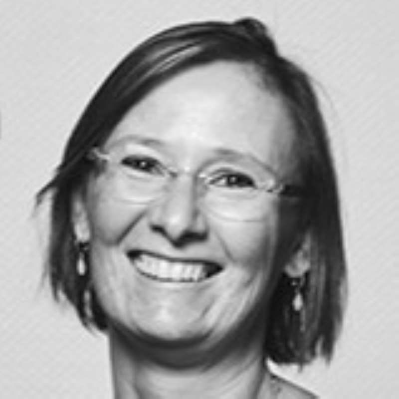 Marie-Laure Guidi, Ioda Consulting