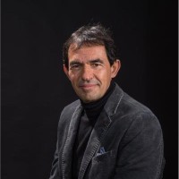 Salvatore Alaimo, Dimotrans