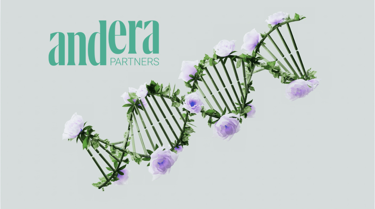 ©Pexels, ©Andera Partners ©Pexels, ©Andera Partners