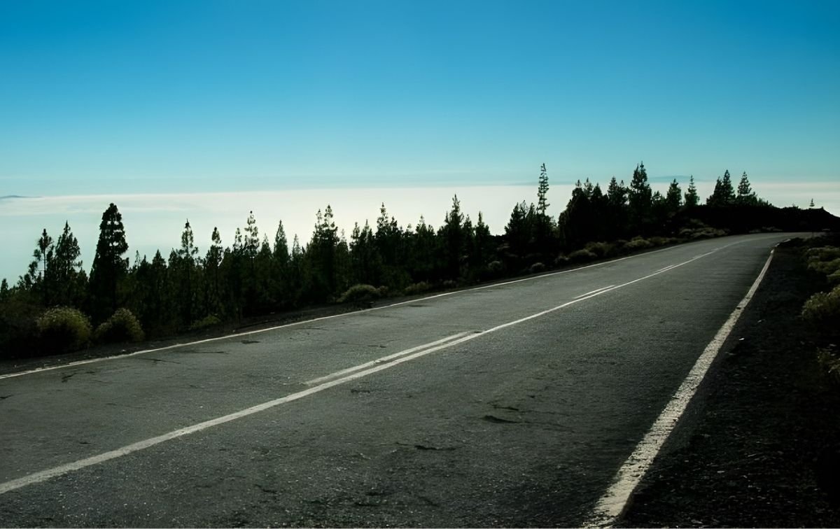 ©Moldtrans Portugal