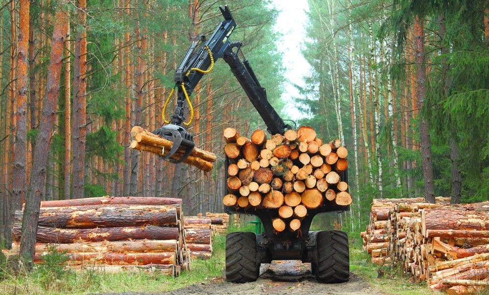 © Adobe Photo Stock