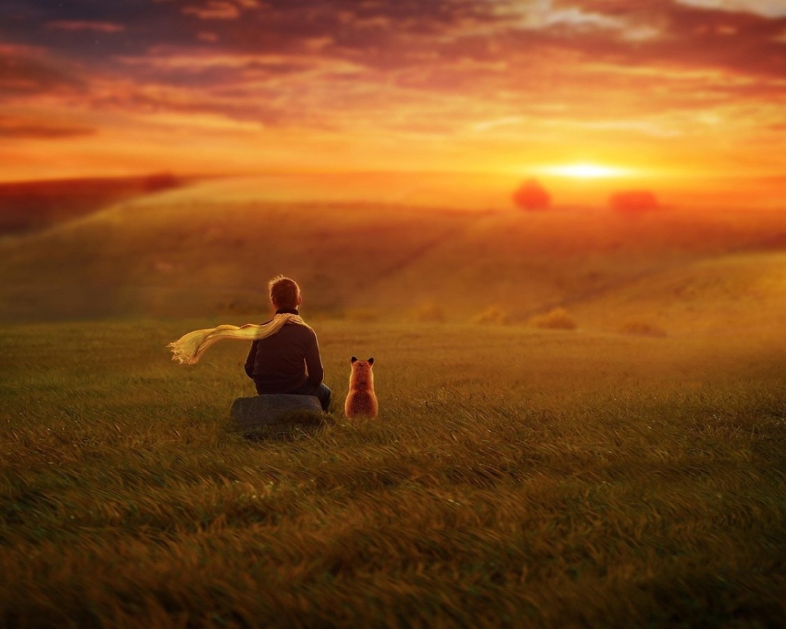 © Pixabay, 2025 © Pixabay, 2025