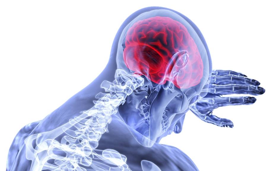 Acticor Biotech est spécialisé dans le traitement d'urgence d'accident vasculaire cérébral ischémique innovant.