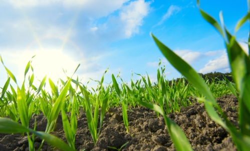 © Adobe Photo Stock