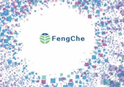 Fengche, Groupe PSA