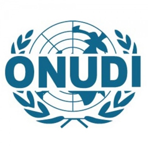 Organisation des Nations Unies pour le Développement Industriel (ONUDI)