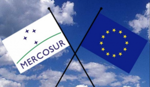 Union Européenne - Mercosur