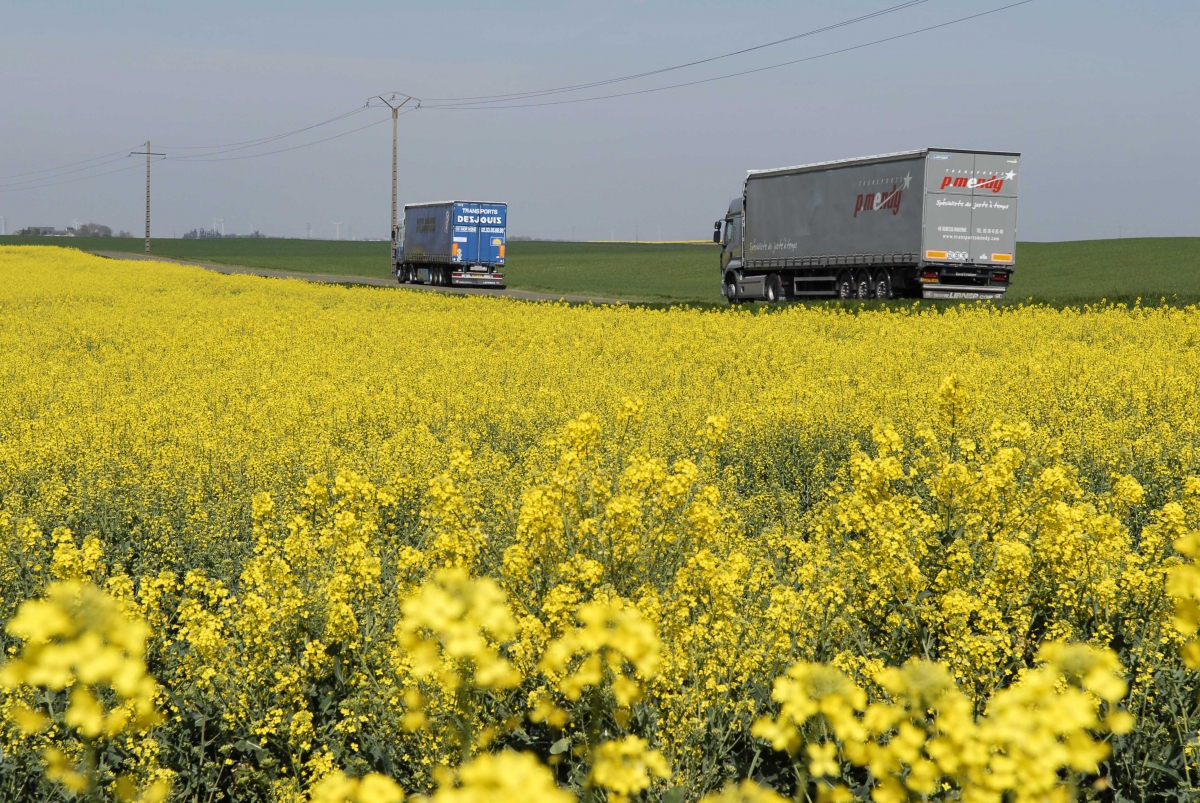 Lesieur Capital, filiale du Groupe Avril depuis 2012, opère dans l’huile de table et l’huile d’olive mais également les produits d’hygiène corporel et de ménage. - © Groupe Avril