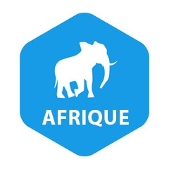 Bulletin Hebdo Afrique