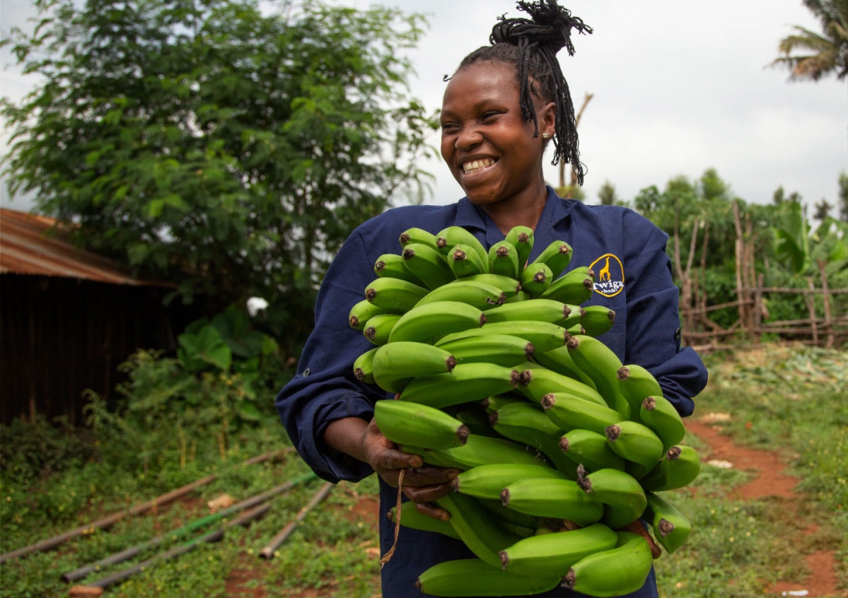 Nouvelle moisson pour Twiga Foods, distributeur kényan de produits agricoles - © Twiga Foods
