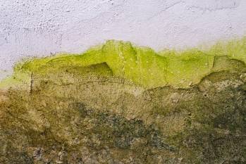 © Image de Mateus Andre sur Freepik 