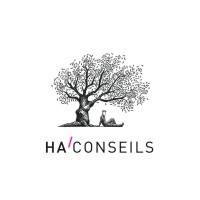 Build-up H.A. CONSEILS mardi 15 avril 2025 Build-up H.A. CONSEILS mardi 15 avril 2025