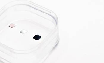 HiQuTe Diamond brille auprès de cinq fonds