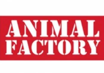 M&A Corporate ANIMAL FACTORY DISTRIBUTION mardi  2 janvier 2024