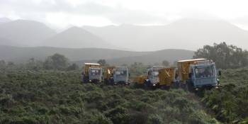 © Ginger Geotec, 2025