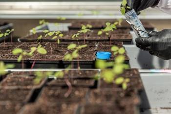 © Micropep Technologies 