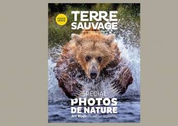 © Terre Sauvage