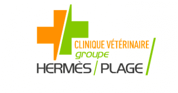 LBO GROUPE HERMÈS/PLAGE mardi 19 décembre 2023