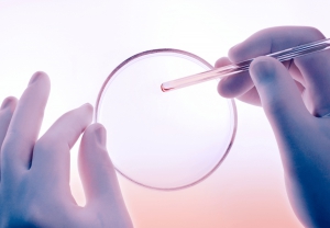 © Biogroup-LCD  © Biogroup-LCD