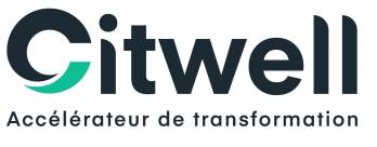 LBO CITWELL CONSULTING vendredi 29 décembre 2023 LBO CITWELL CONSULTING vendredi 29 décembre 2023