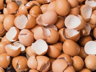 © Adobe Photo Stock