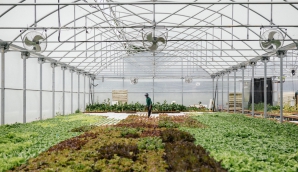 Pauline Air Farm © Les Nouvelles Fermes Pauline Air Farm © Les Nouvelles Fermes