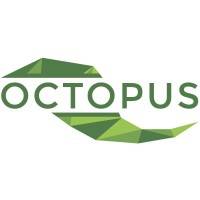 Octopus Lab 