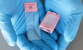 © Dreampath Diagnostics