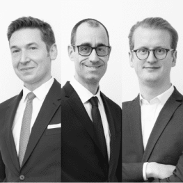 Eric Bruguière, Thomas Roudil et Hugues de Gastines, Ciclad