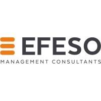 LBO EFESO MANAGEMENT CONSULTANTS (EFESO CONSULTING) lundi 19 novembre 2018