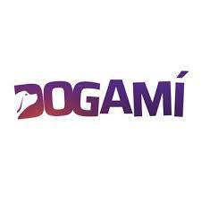 Capital Innovation DOGAMI (KOMODOR STUDIOS) lundi 12 décembre 2022