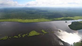 © TotalEnergies / La Compagnie des Bois du Gabon