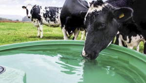 © Groupe Sofilab-La Buvette