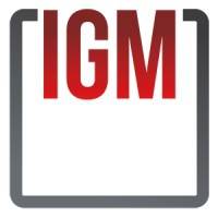  IGM - Electromechanical & Electronic Systems