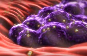 © Nanobiotix © Nanobiotix