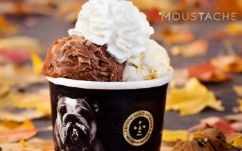 © Glaces Moustache © Glaces Moustache