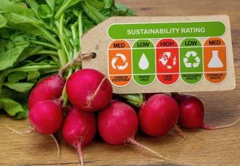 © Adobe Photo Stock