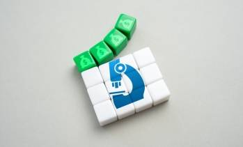 © Adobe Photo Stock