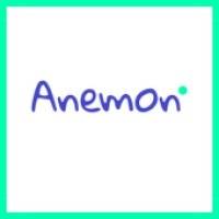 Capital Innovation ANEMON samedi 30 novembre 2024