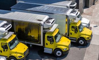 © Adobe Photo Stock