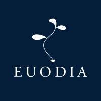 Build-up EUODIA FINANCE vendredi  1 mars 2024
