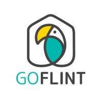 Capital Innovation GOFLINT vendredi 19 janvier 2024