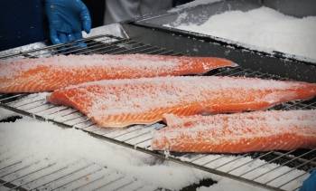 © Unis Fish & Food © Unis Fish & Food