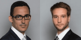 Pierre-David Forterre, Maxime Goerens, Eight Advisory