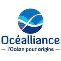 LBO GROUPE OCEALLIANCE (EX MARITEAM) lundi 31 janvier 2022